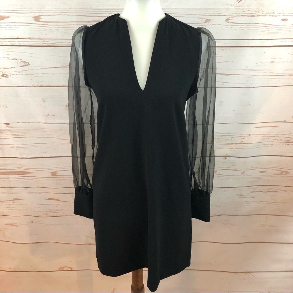 Zara Bloggers Favorite Organza Sheer Puffy Long Sleeve Shift Dress